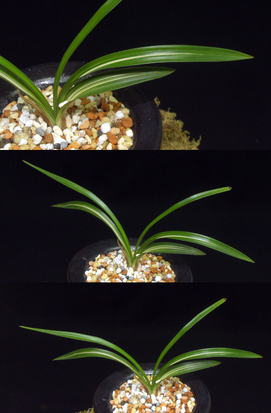 ������ ū������ �� �� �ֽ��ϴ�.