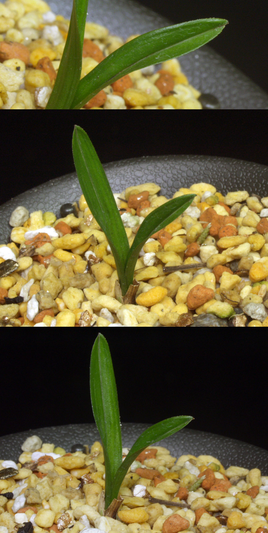 ������ ū������ �� �� �ֽ��ϴ�.