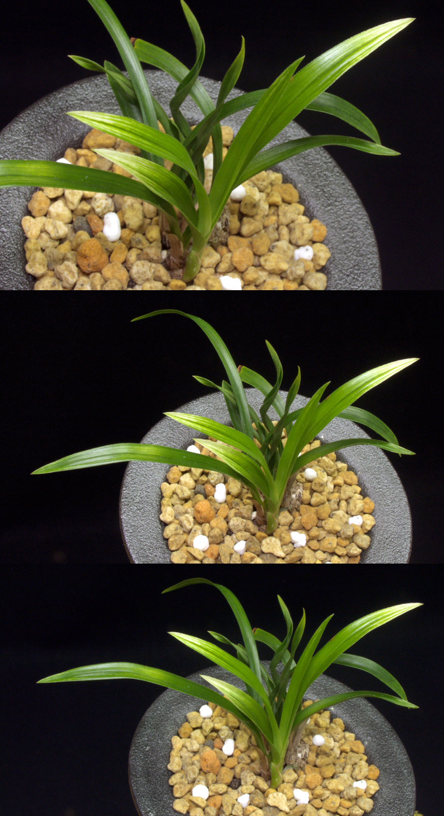 ������ ū������ �� �� �ֽ��ϴ�.