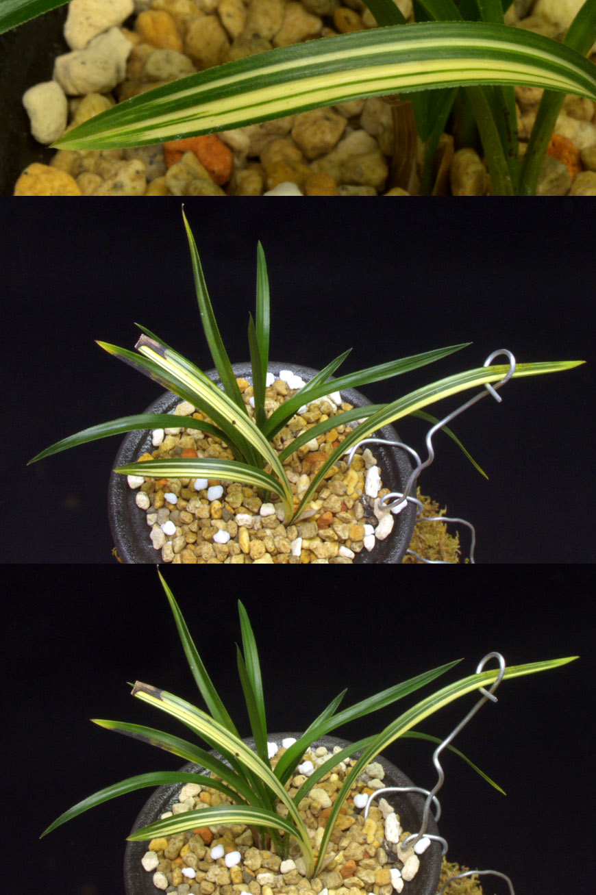 ������ ū������ �� �� �ֽ��ϴ�.