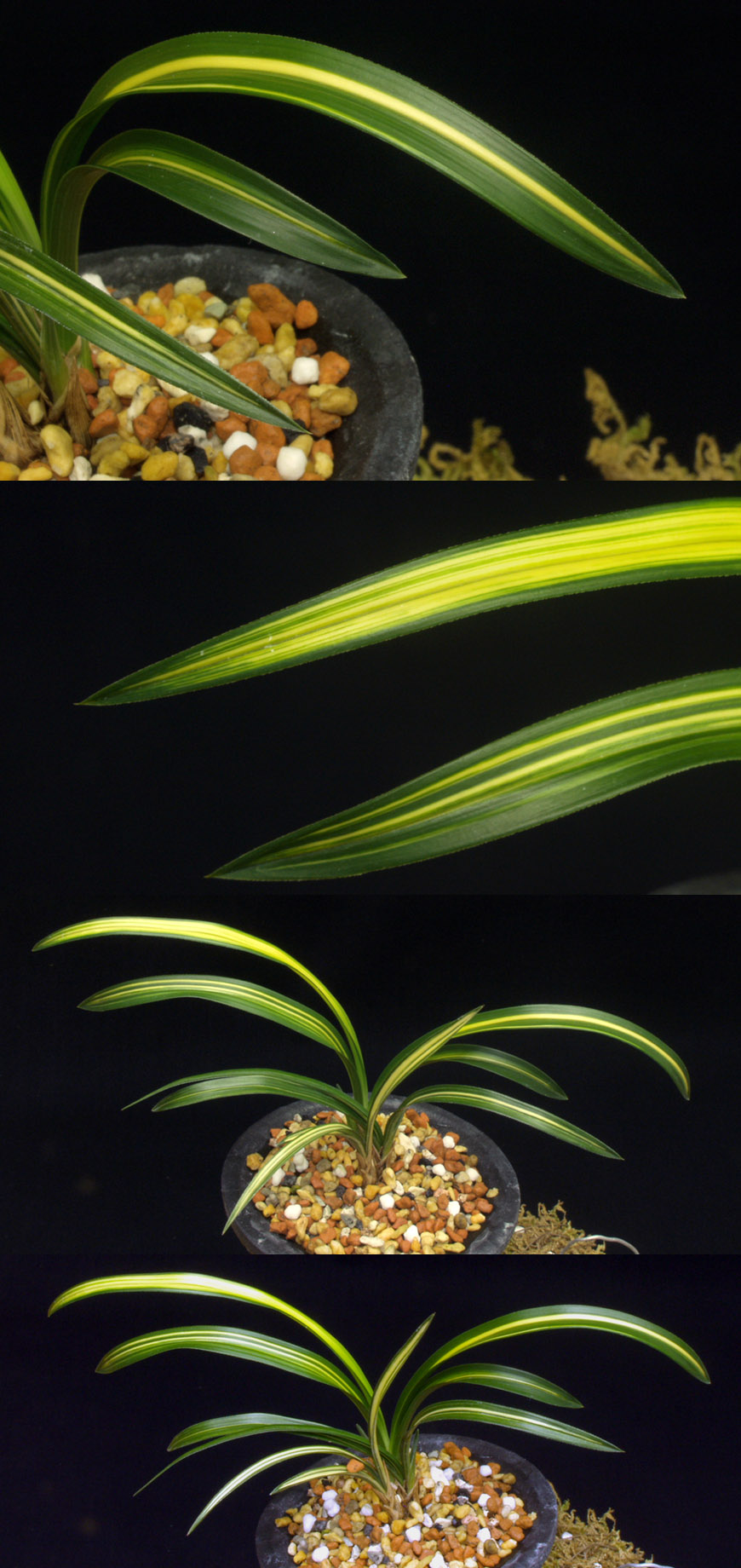 ������ ū������ �� �� �ֽ��ϴ�.