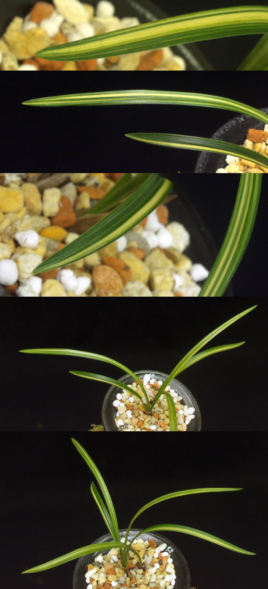 ������ ū������ �� �� �ֽ��ϴ�.