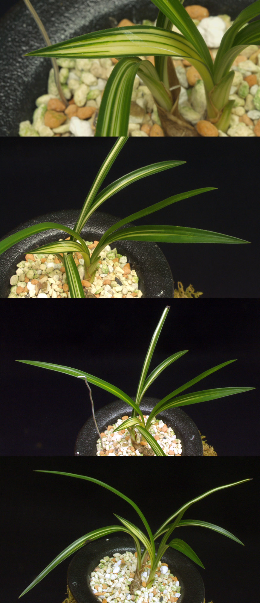 ������ ū������ �� �� �ֽ��ϴ�.