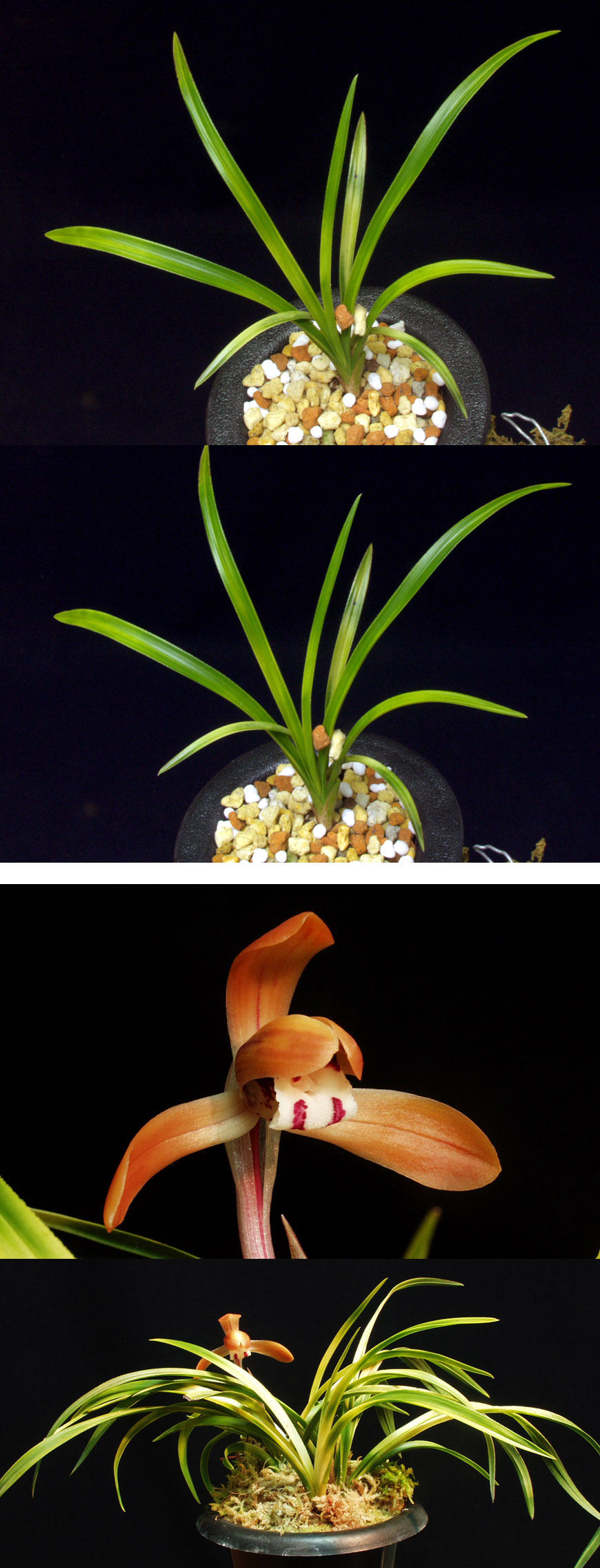 ������ ū������ �� �� �ֽ��ϴ�.