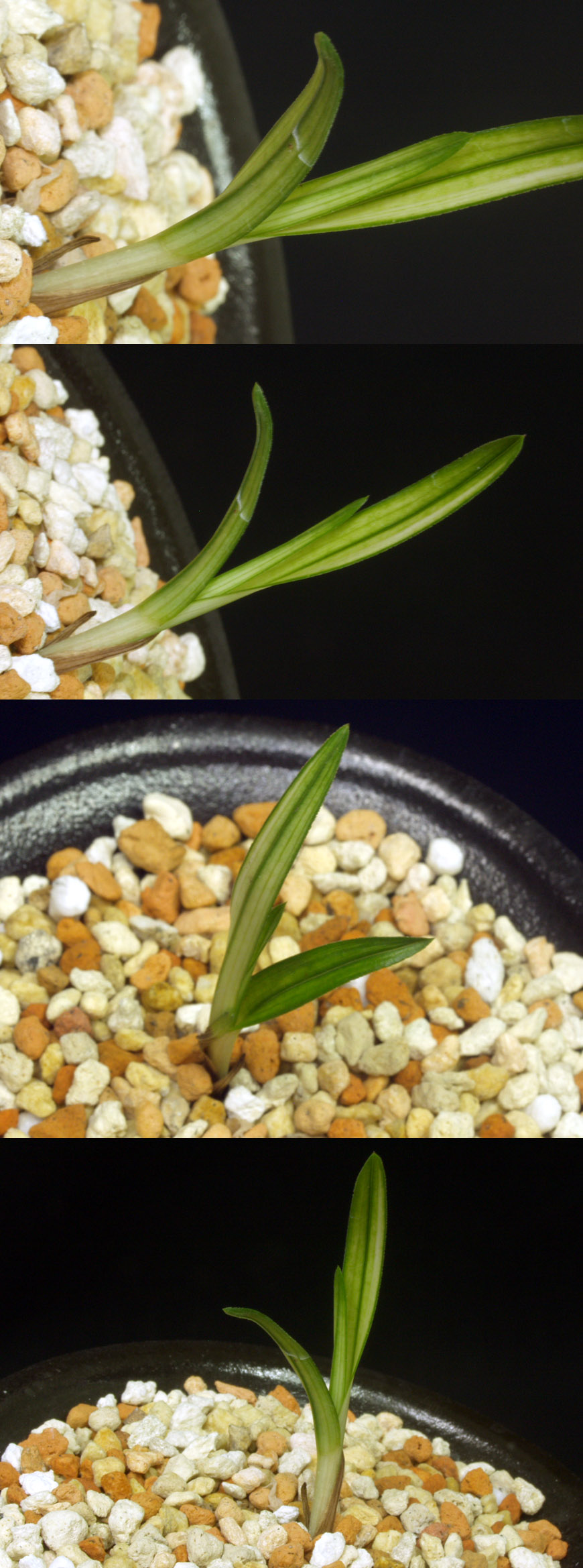 ������ ū������ �� �� �ֽ��ϴ�.