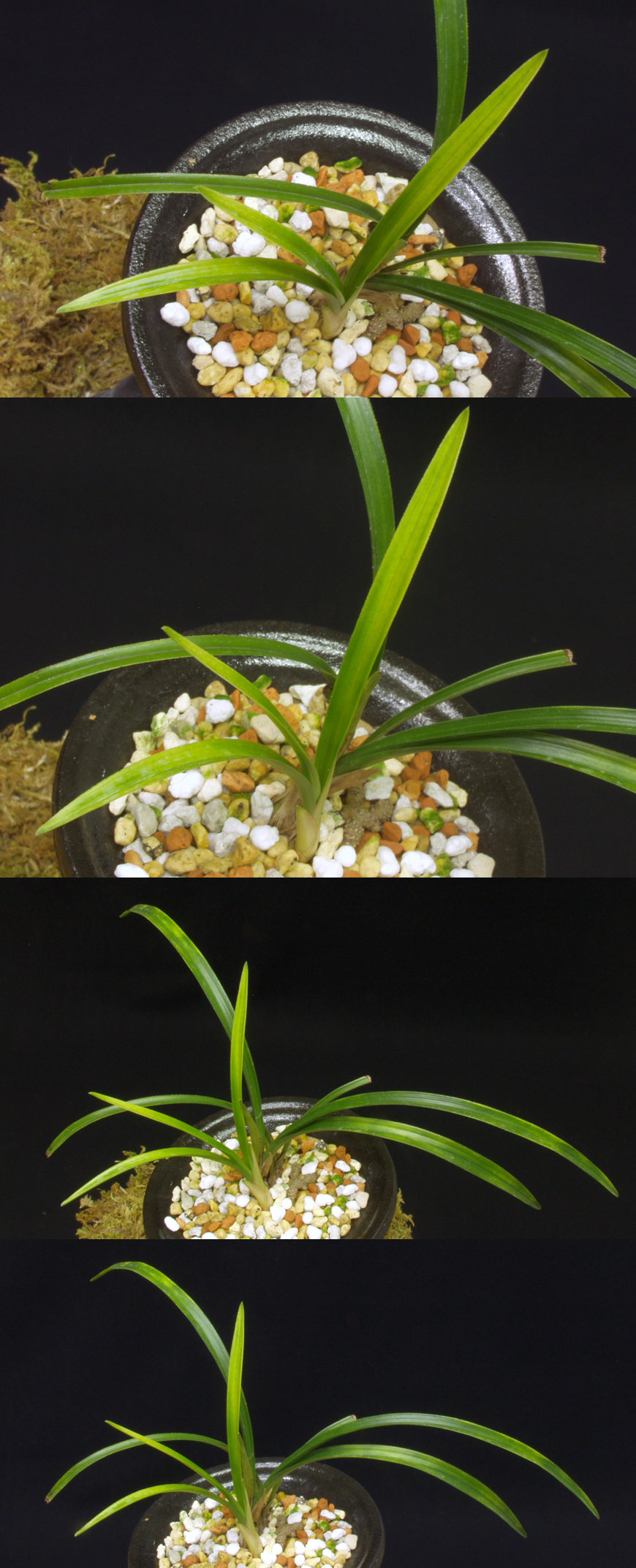 ������ ū������ �� �� �ֽ��ϴ�.