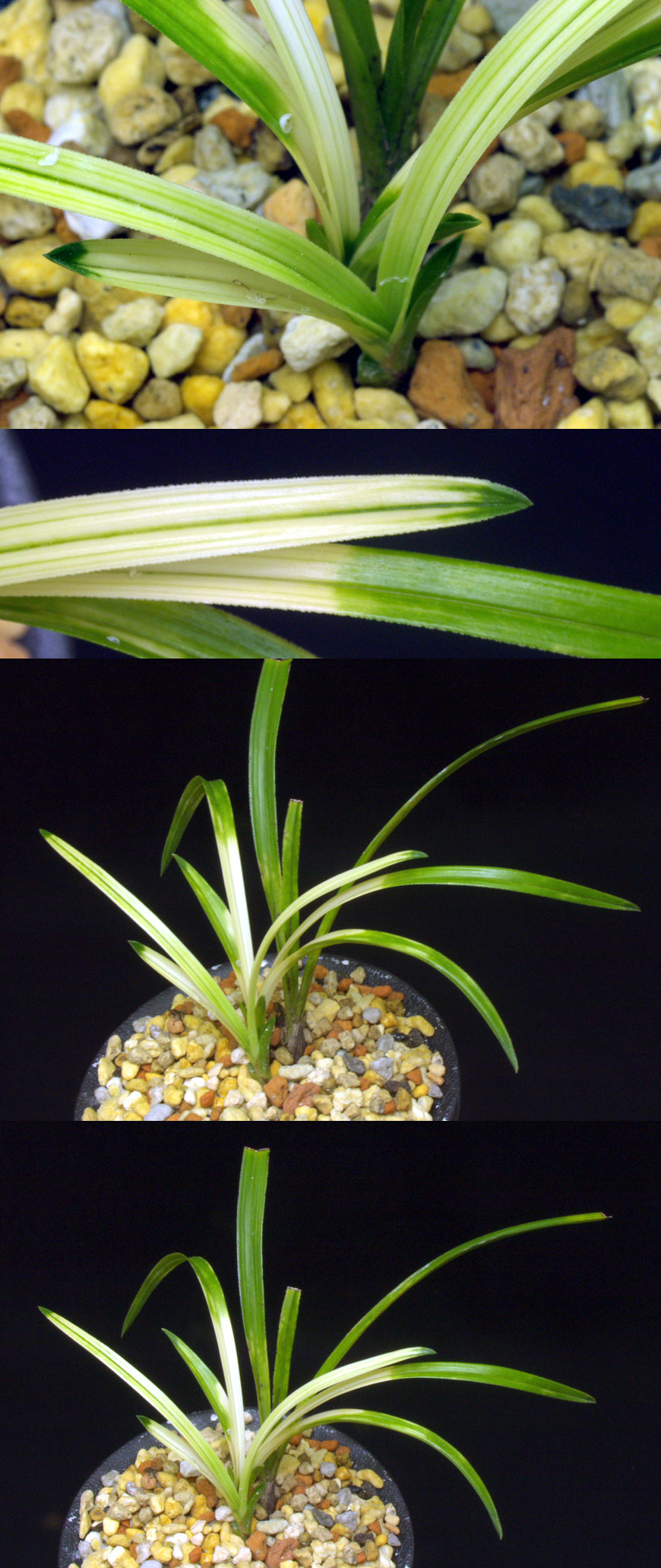 ������ ū������ �� �� �ֽ��ϴ�.