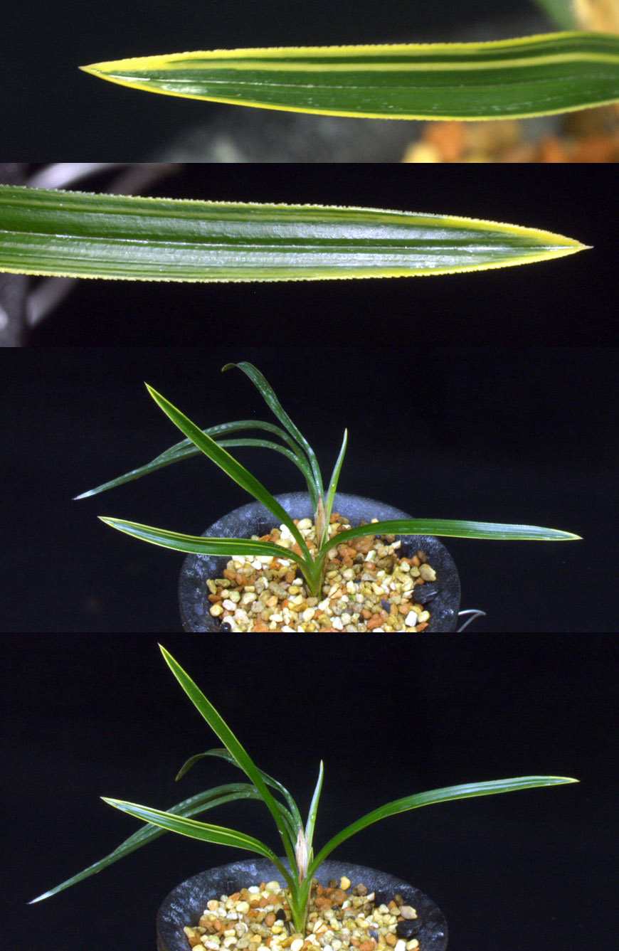 ������ ū������ �� �� �ֽ��ϴ�.