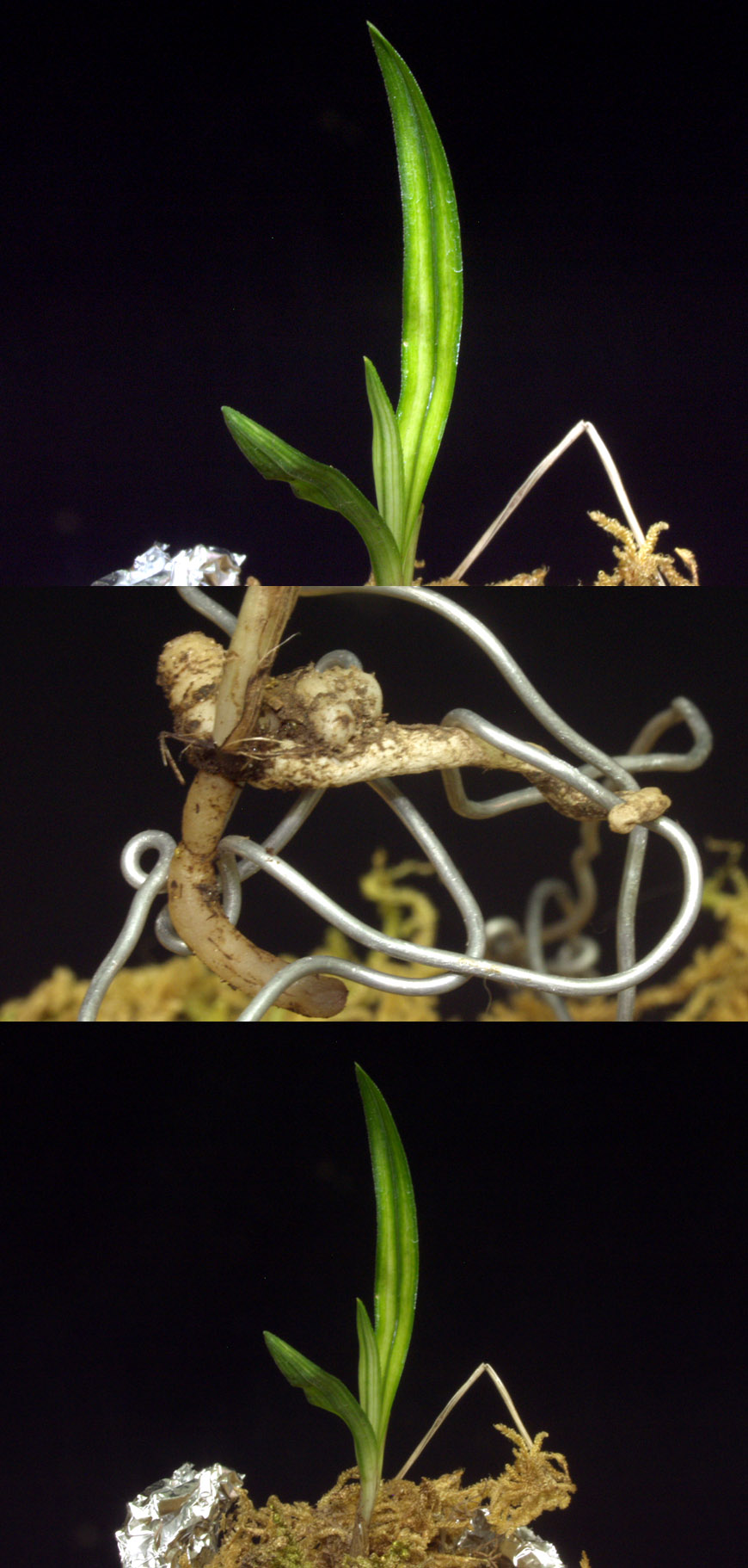 ������ ū������ �� �� �ֽ��ϴ�.