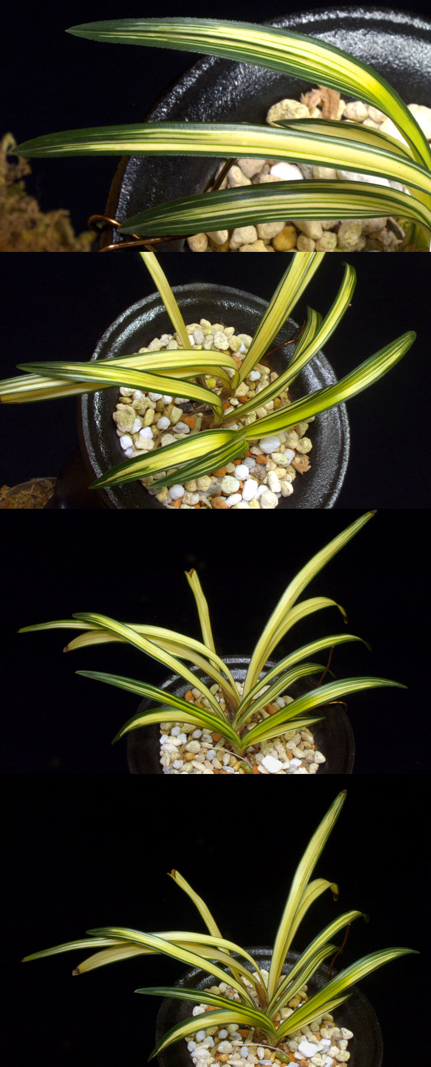 ������ ū������ �� �� �ֽ��ϴ�.