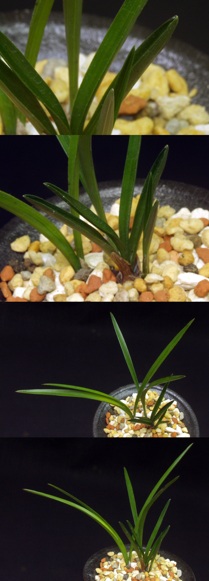 ������ ū������ �� �� �ֽ��ϴ�.