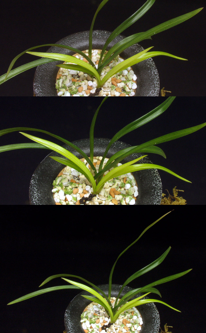 ������ ū������ �� �� �ֽ��ϴ�.