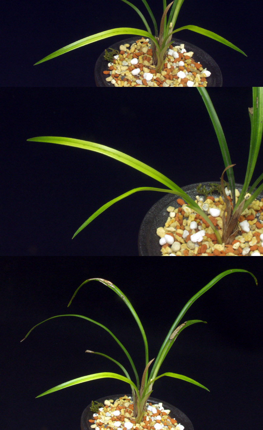 ������ ū������ �� �� �ֽ��ϴ�.