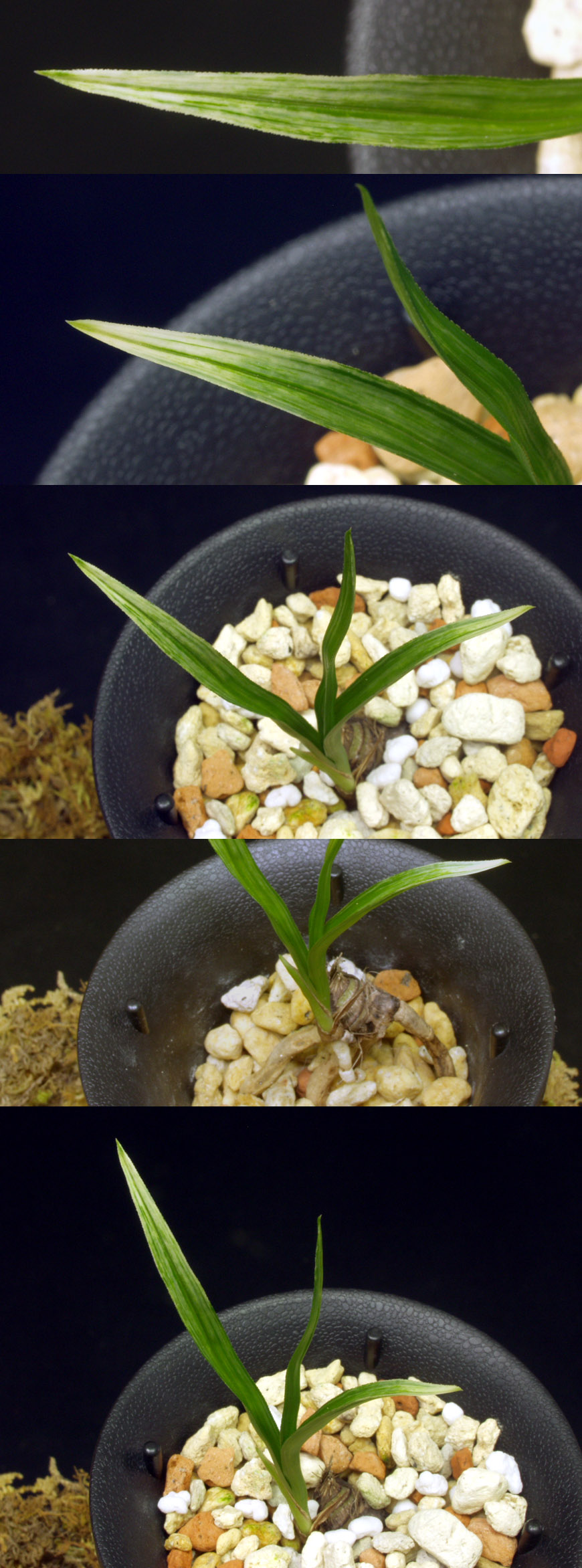 ������ ū������ �� �� �ֽ��ϴ�.