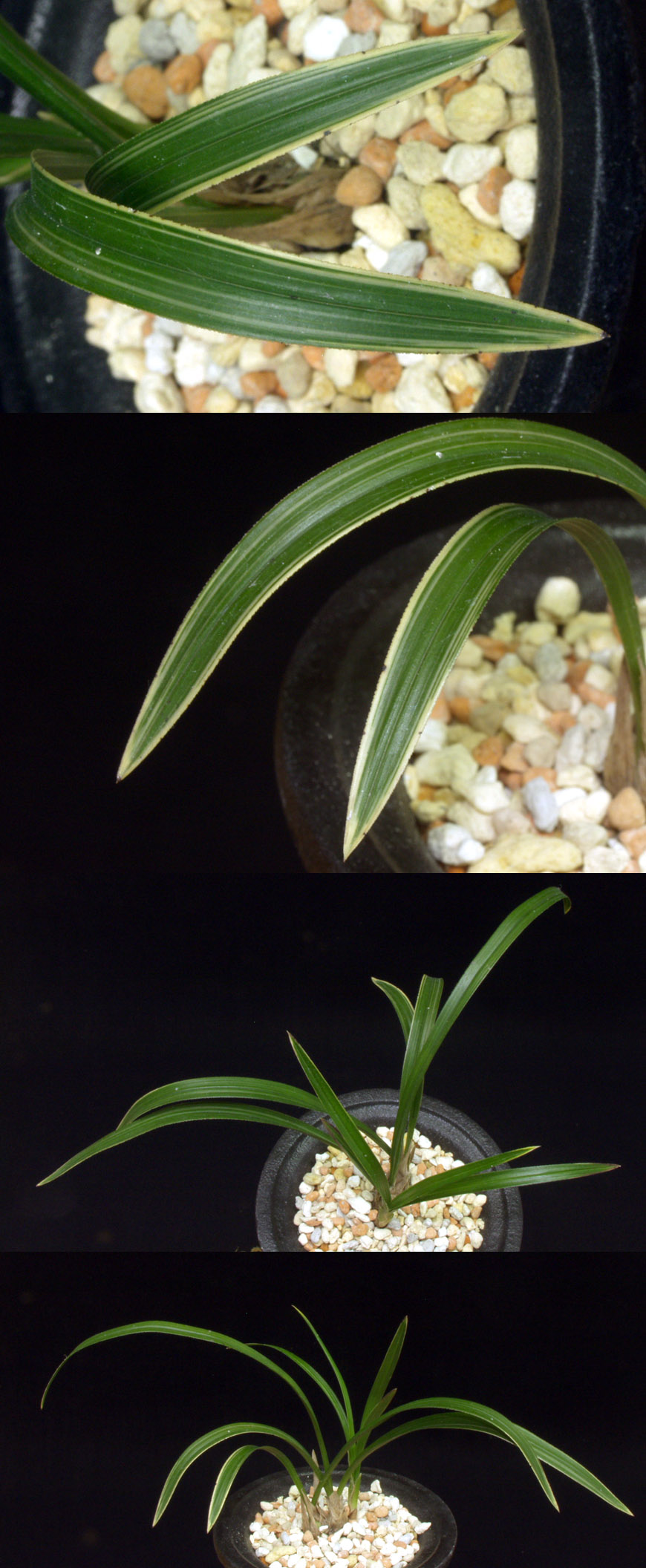 ������ ū������ �� �� �ֽ��ϴ�.