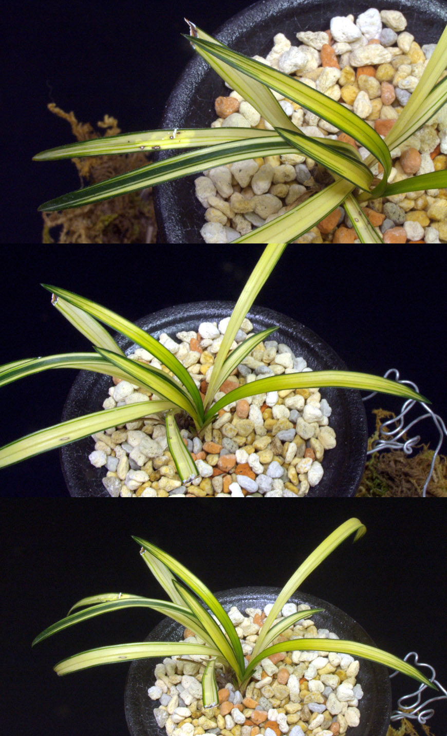 ������ ū������ �� �� �ֽ��ϴ�.