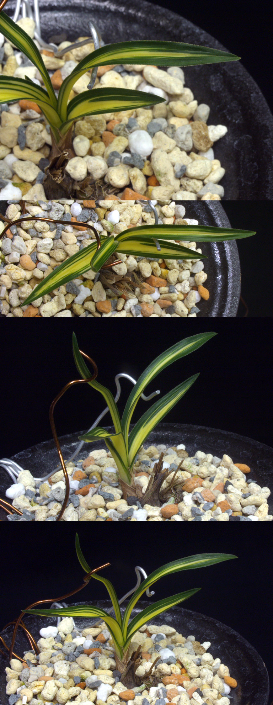 ������ ū������ �� �� �ֽ��ϴ�.