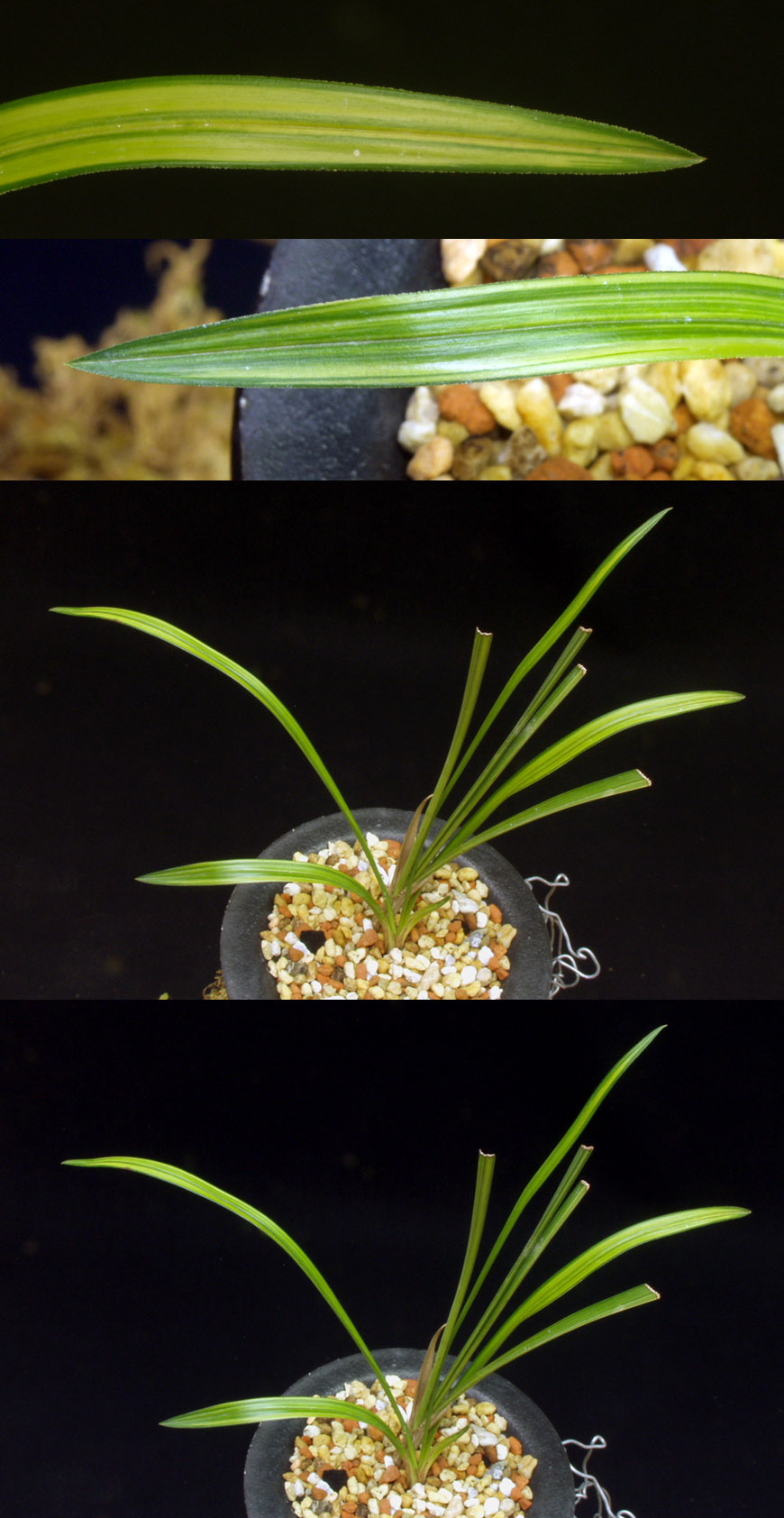 ������ ū������ �� �� �ֽ��ϴ�.