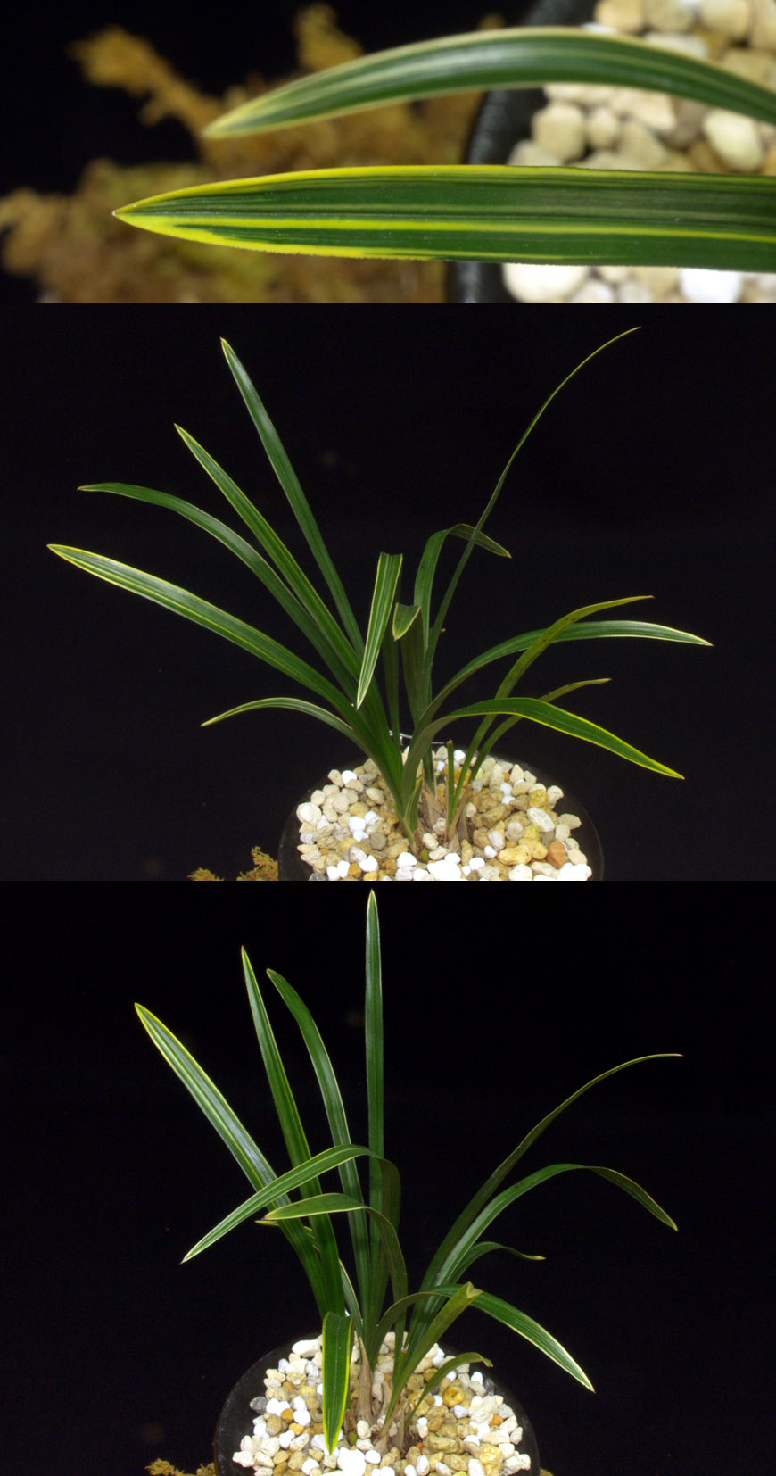 ������ ū������ �� �� �ֽ��ϴ�.