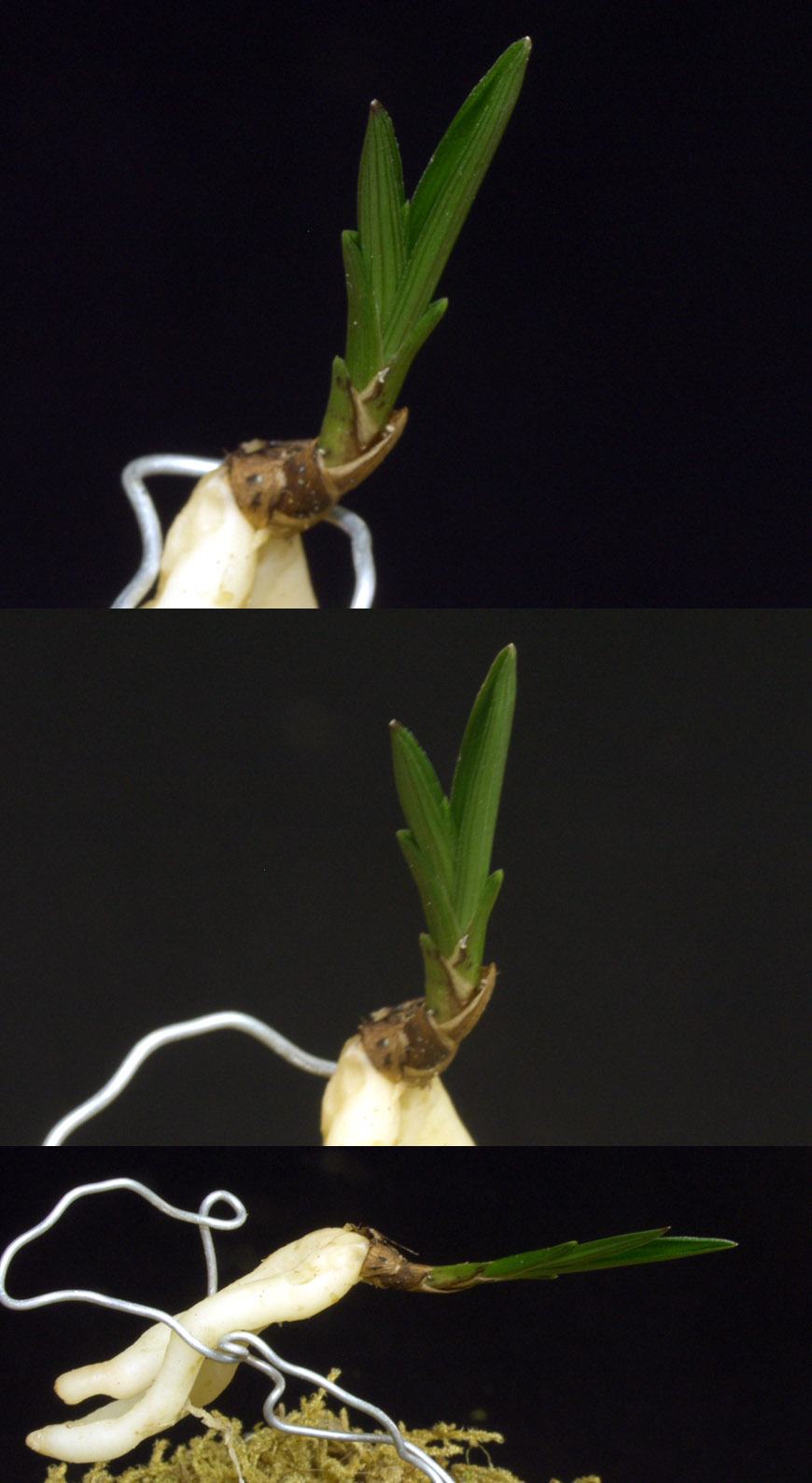 ������ ū������ �� �� �ֽ��ϴ�.