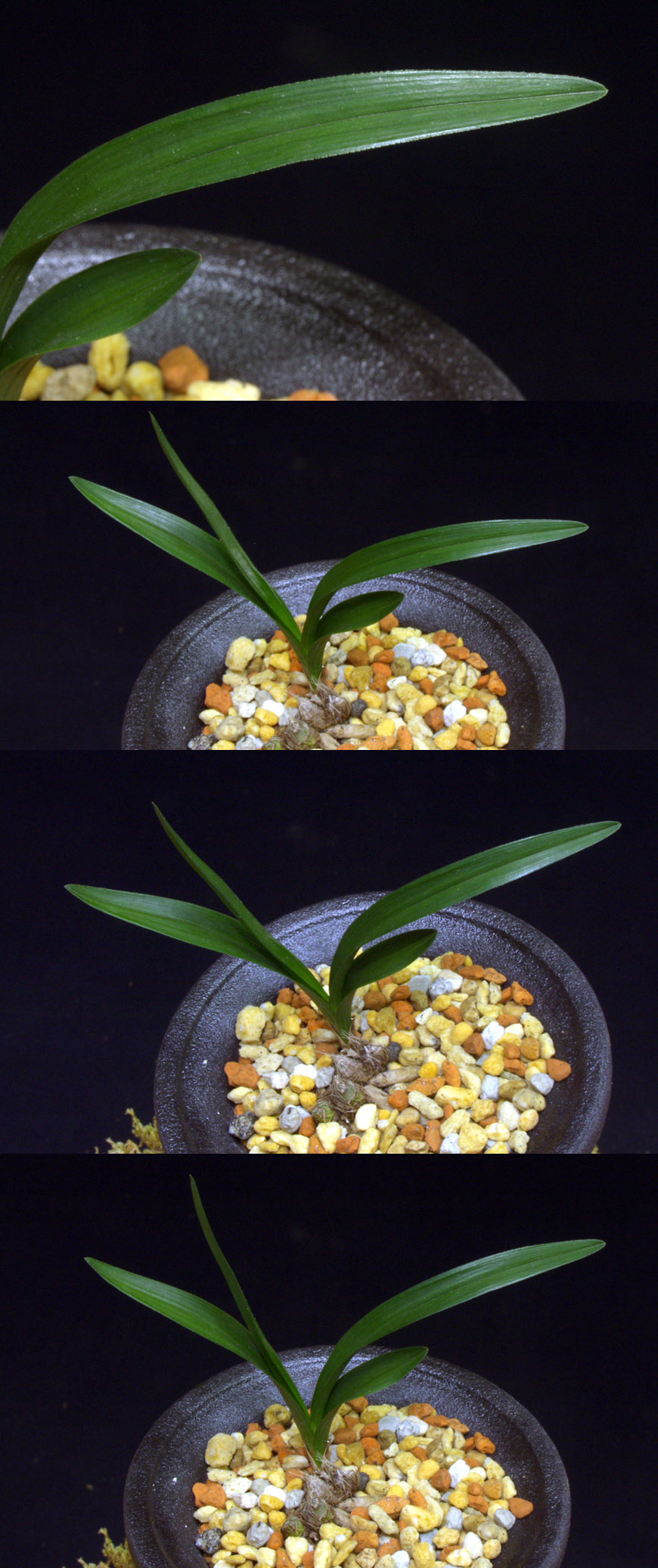 ������ ū������ �� �� �ֽ��ϴ�.