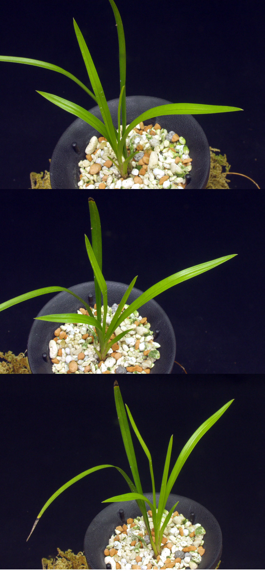 ������ ū������ �� �� �ֽ��ϴ�.