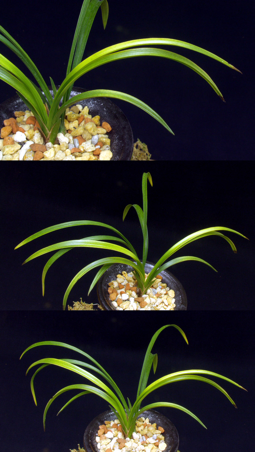 ������ ū������ �� �� �ֽ��ϴ�.