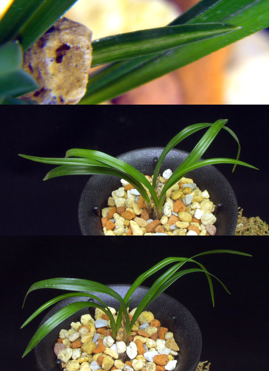 ������ ū������ �� �� �ֽ��ϴ�.