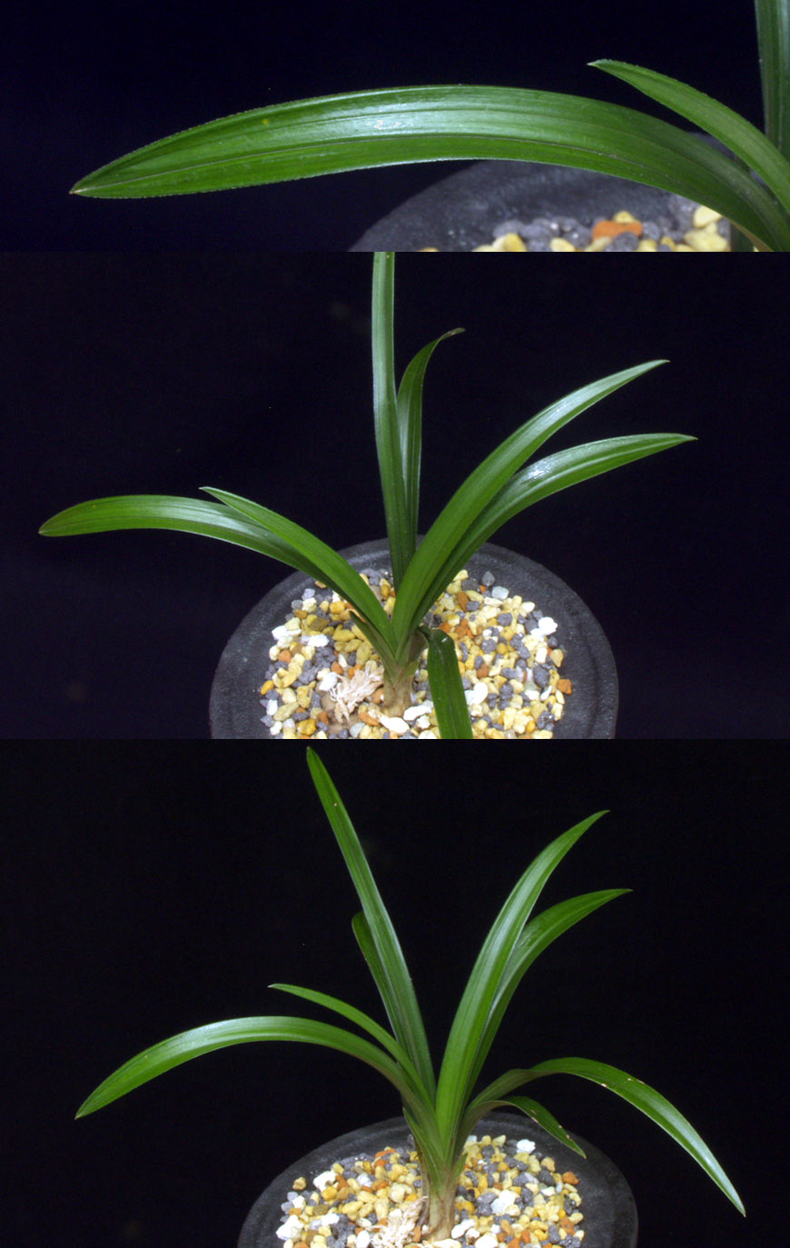 ������ ū������ �� �� �ֽ��ϴ�.