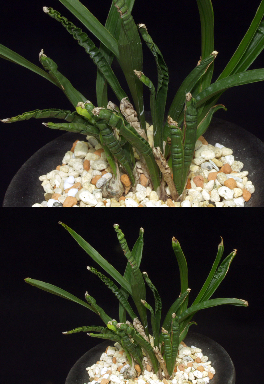 ������ ū������ �� �� �ֽ��ϴ�.