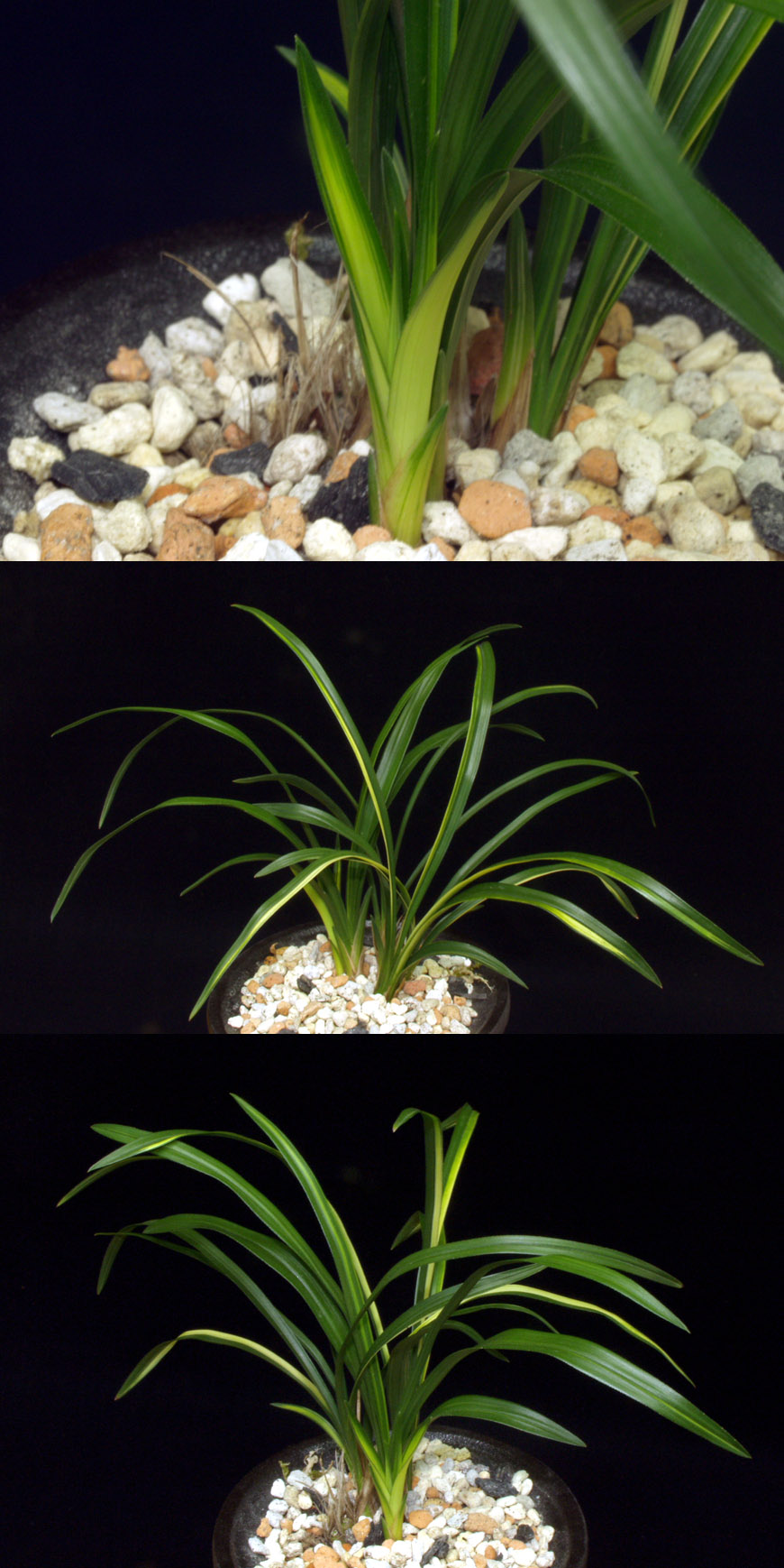 ������ ū������ �� �� �ֽ��ϴ�.