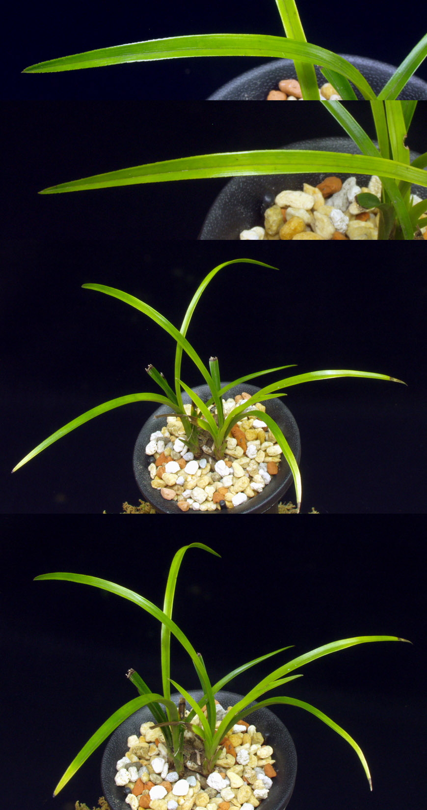 ������ ū������ �� �� �ֽ��ϴ�.