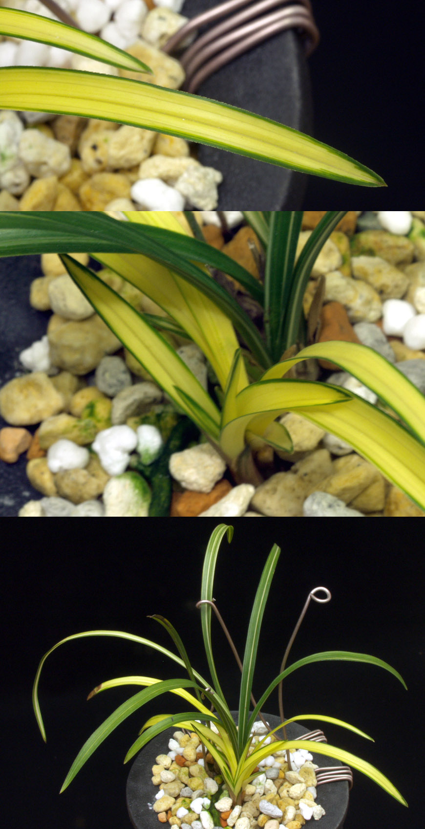 ������ ū������ �� �� �ֽ��ϴ�.