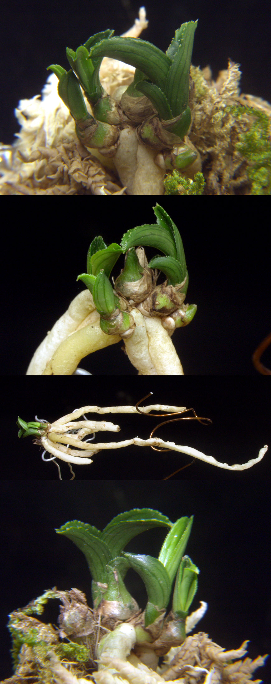 ������ ū������ �� �� �ֽ��ϴ�.