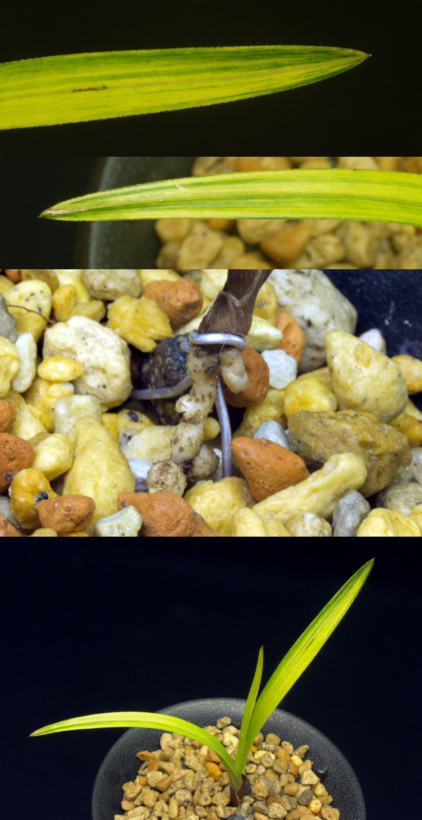 ������ ū������ �� �� �ֽ��ϴ�.