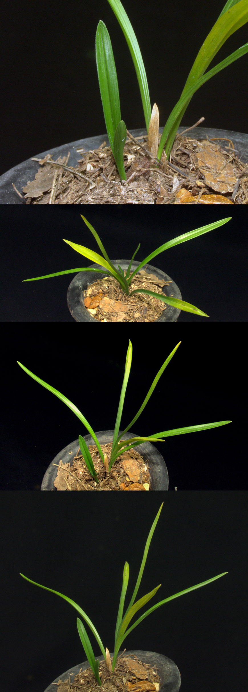 ������ ū������ �� �� �ֽ��ϴ�.