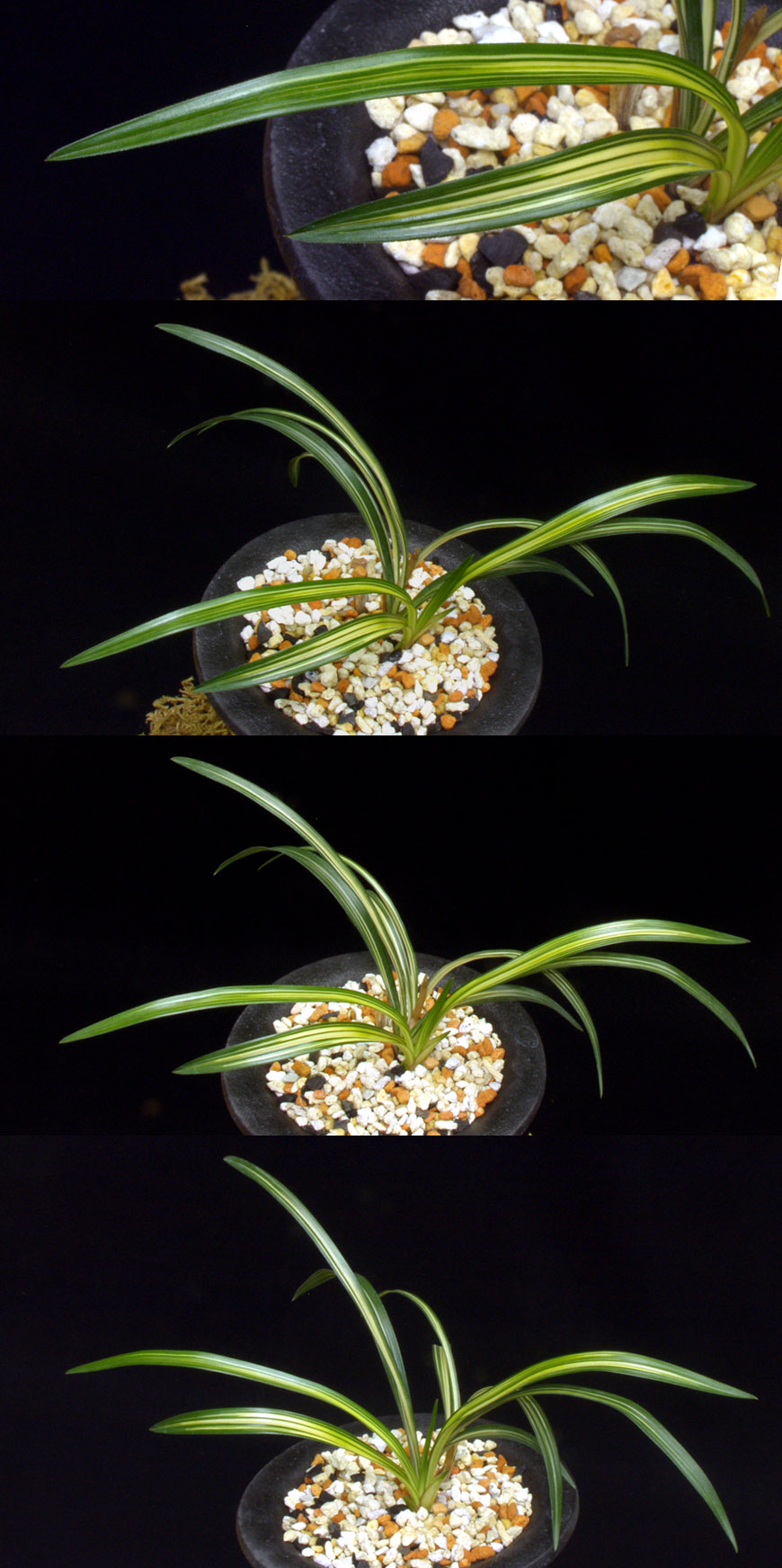 ������ ū������ �� �� �ֽ��ϴ�.