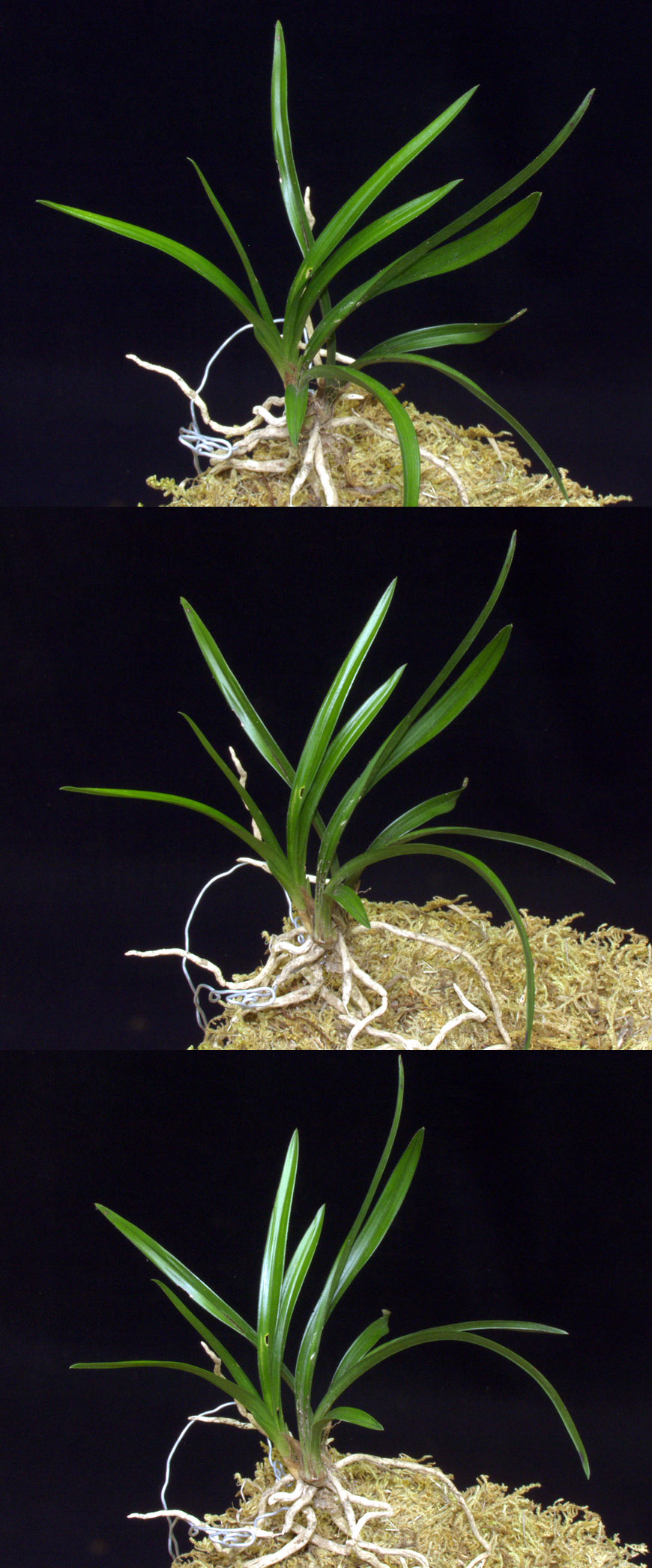 ������ ū������ �� �� �ֽ��ϴ�.