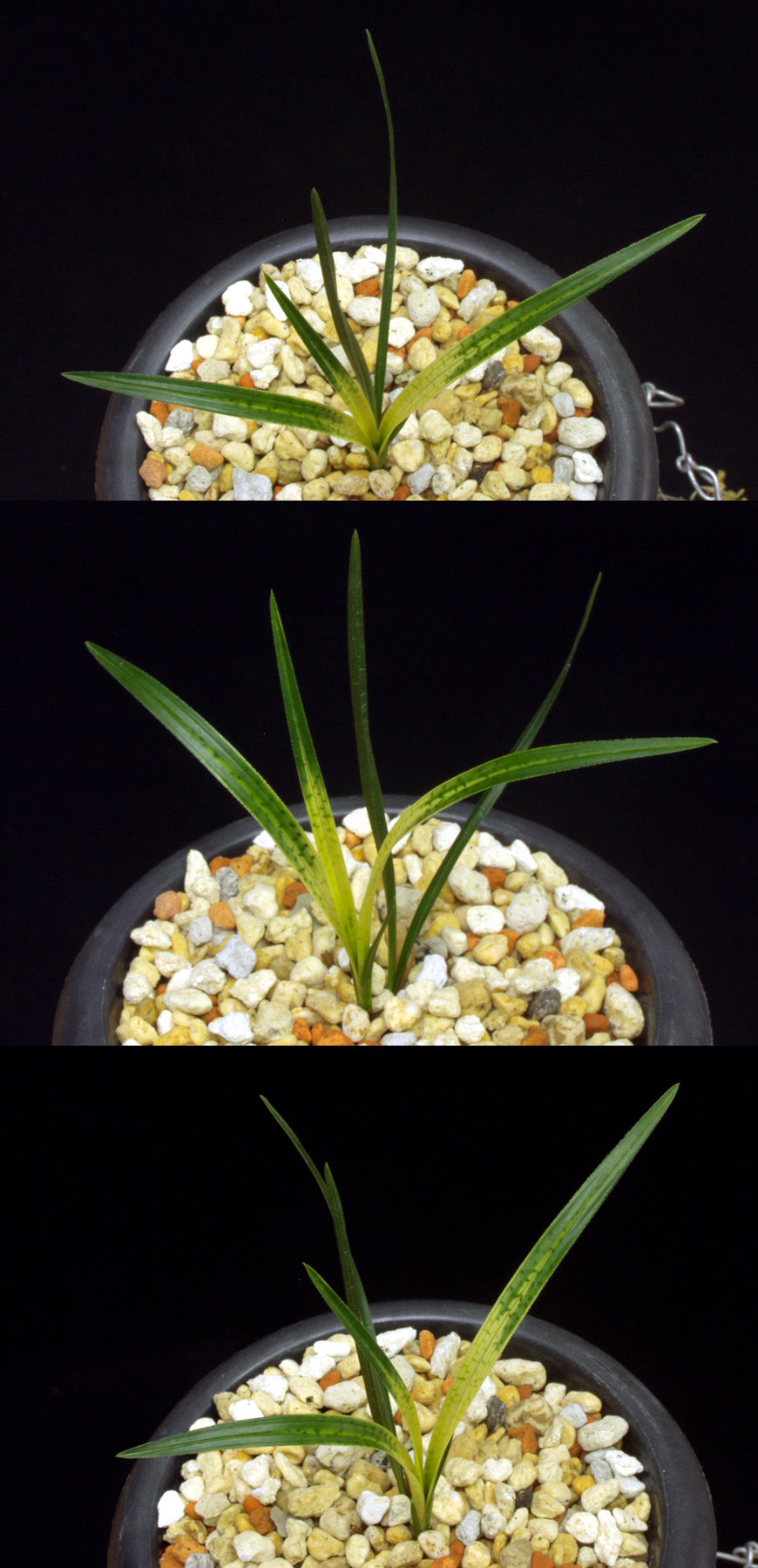 ������ ū������ �� �� �ֽ��ϴ�.