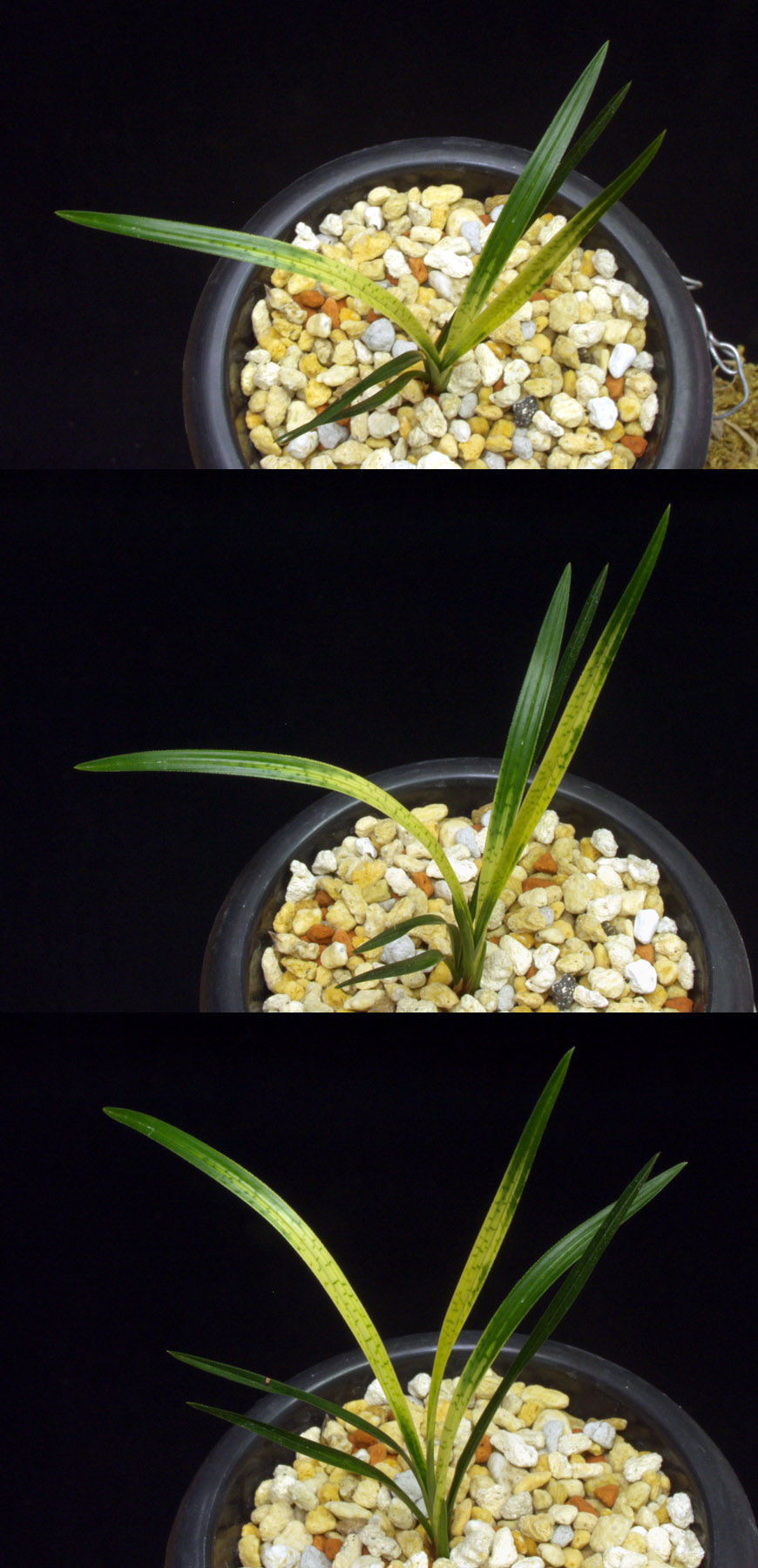 ������ ū������ �� �� �ֽ��ϴ�.