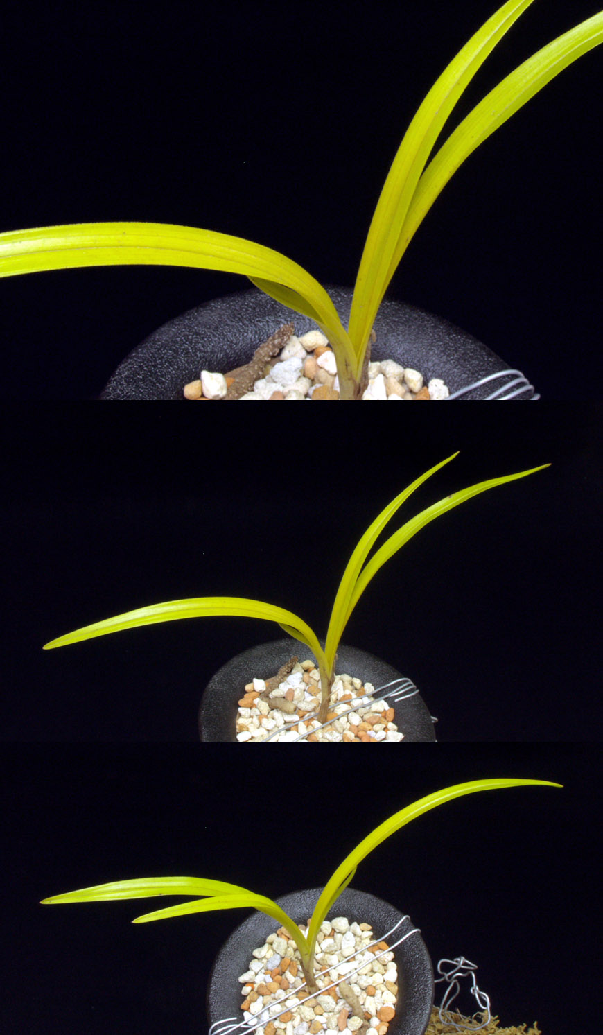 ������ ū������ �� �� �ֽ��ϴ�.