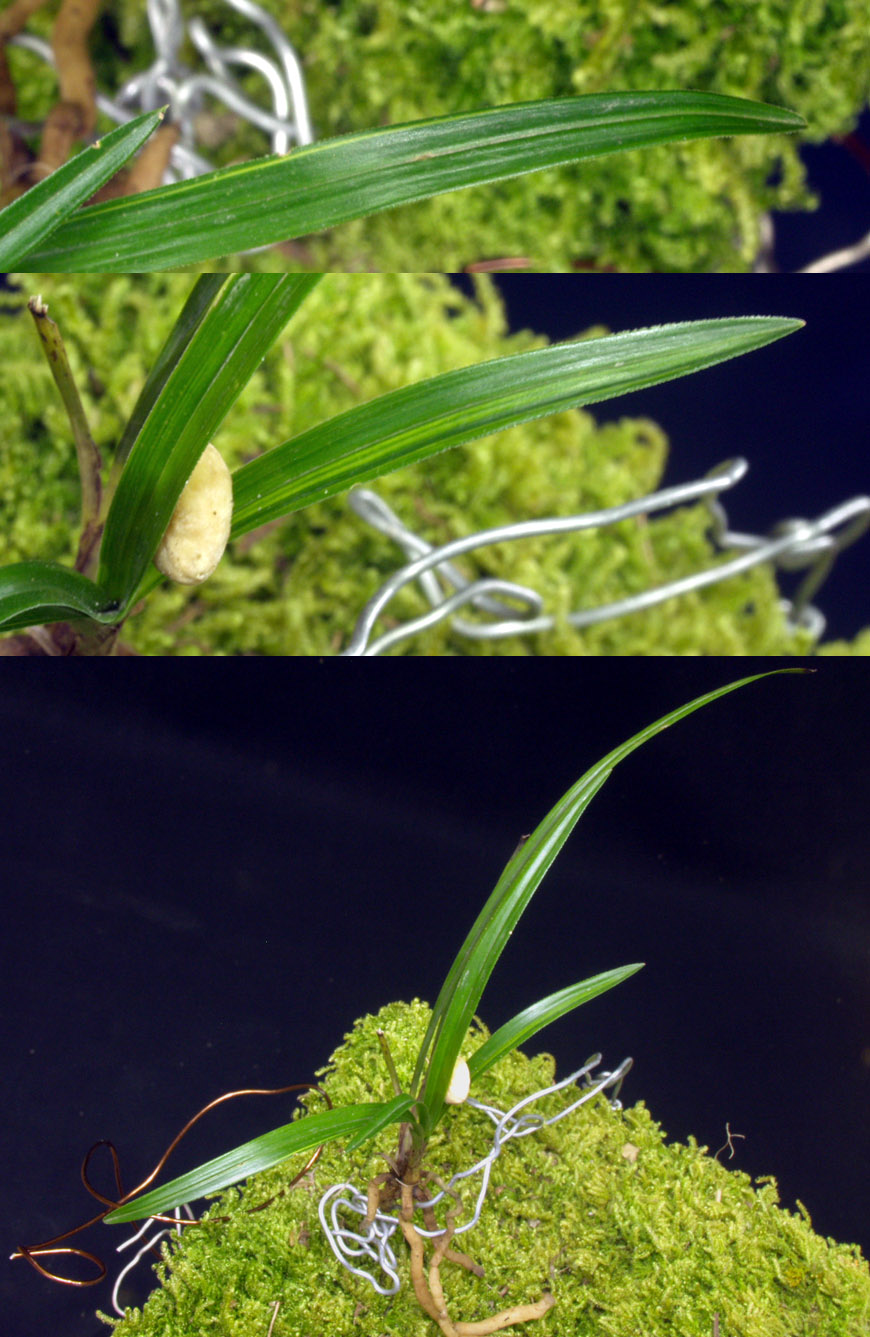 ������ ū������ �� �� �ֽ��ϴ�.