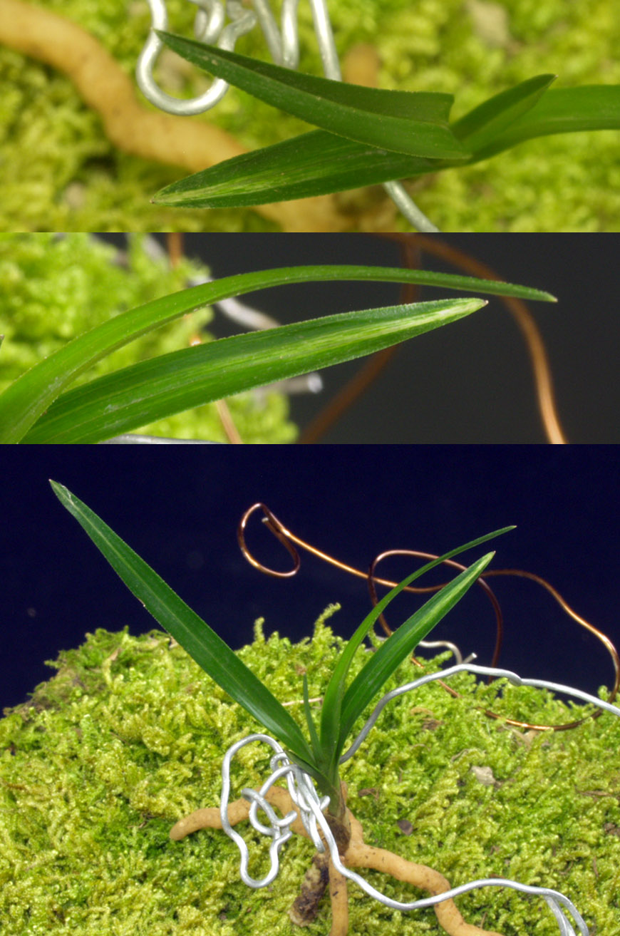 ������ ū������ �� �� �ֽ��ϴ�.