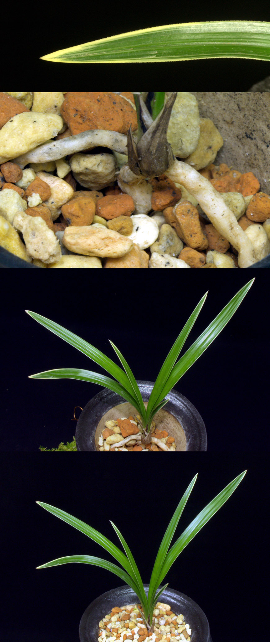 ������ ū������ �� �� �ֽ��ϴ�.