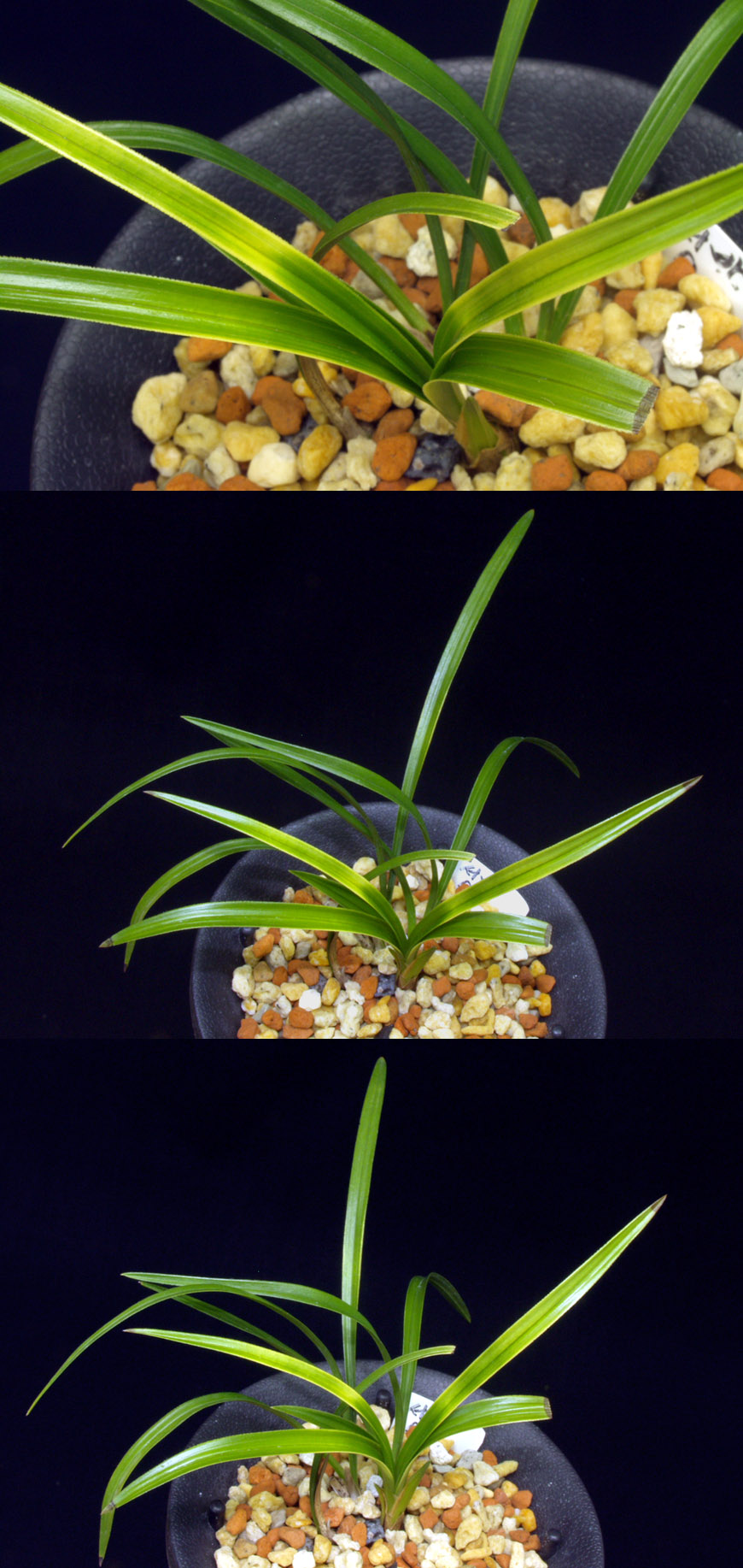 ������ ū������ �� �� �ֽ��ϴ�.