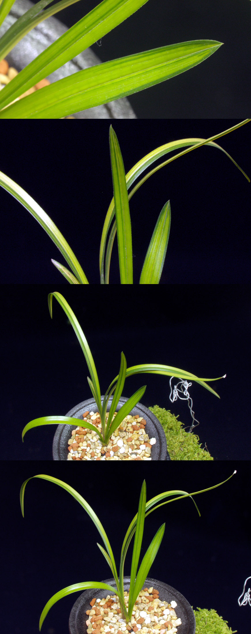 ������ ū������ �� �� �ֽ��ϴ�.