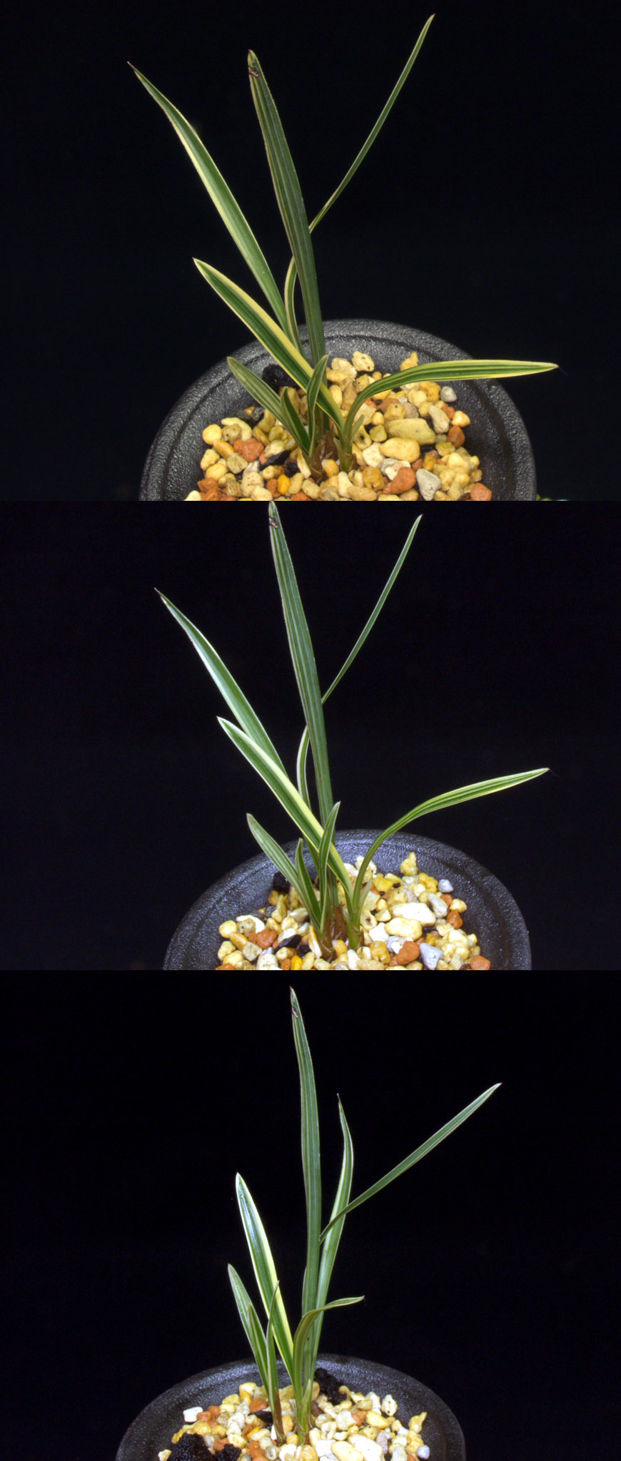 ������ ū������ �� �� �ֽ��ϴ�.