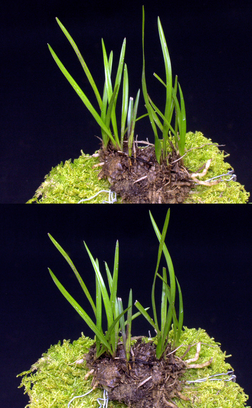 ������ ū������ �� �� �ֽ��ϴ�.