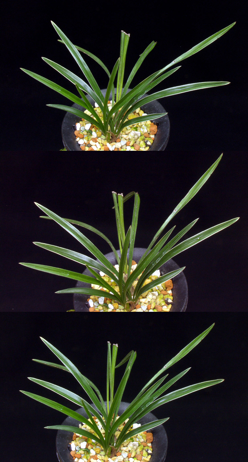 ������ ū������ �� �� �ֽ��ϴ�.