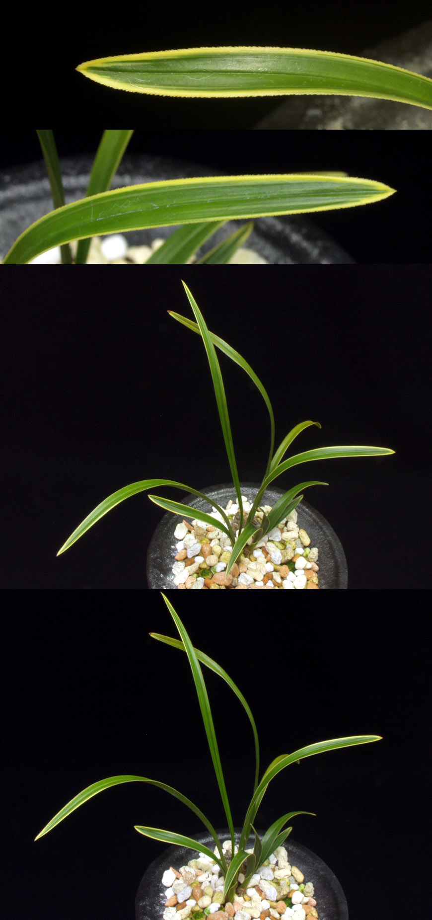 ������ ū������ �� �� �ֽ��ϴ�.